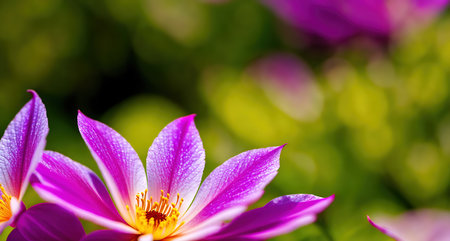 A group of pink flowers in the foreground, with a blurred background of trees and grass.の素材
