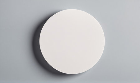 A white plate rests on a grey surfaceの素材