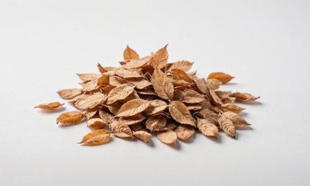 A pile of brown leaves sits on a white surfaceの素材