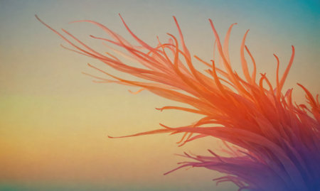 A single feather, illuminated by the warm glow of the setting sun, is silhouetted against a vibrant skyの素材