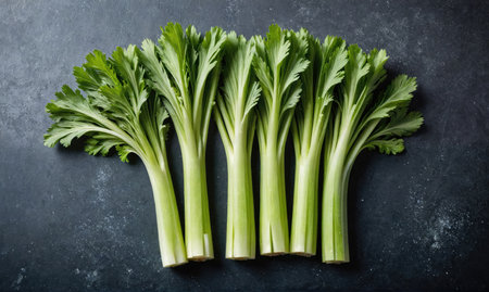 Six stalks of celery are arranged on a dark surfaceの素材