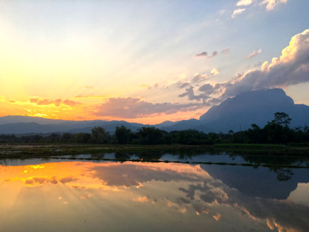 Sunset sun is reflecting on rice fields in Chiang Dao / Thailand.