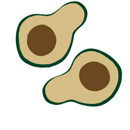 avocado pattern. healthy green vegetable with bone. Farm natural