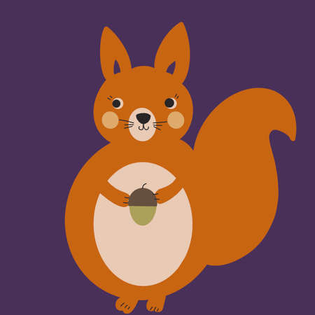 squirrel with a stomach from the forestの写真素材