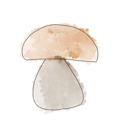 mushroom watercolor illustration champignon brownの写真素材