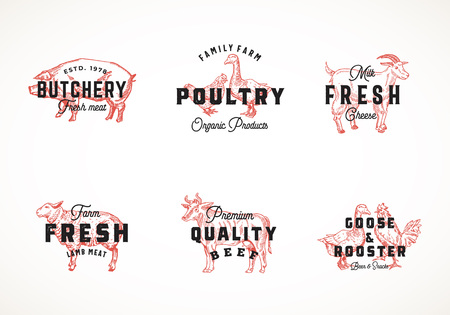 Premium Quality Retro Cattle and Poultry Vector  Templates Collection. Hand Drawn Vintage Domestic Animals and Birds Sketches with Classy Typography, Pig, Cow, Chicken, etc. Isolated Labels Setのイラスト素材