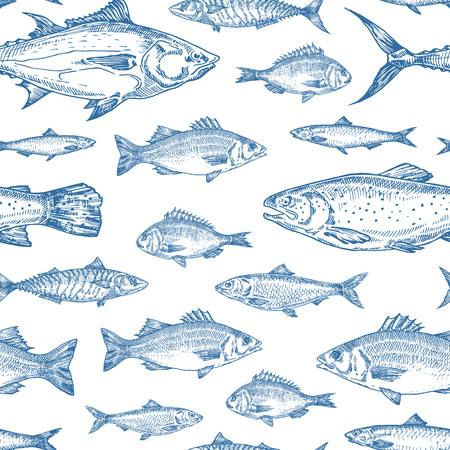 Hand Drawn Ocean Fish Vector Seamless Background Pattern. Anchovy, Herrings, Tuna, Dorado, Mackerel, Seabass and Salmons Sketches Card or Cover Template in Blue Color. Isolated.のイラスト素材