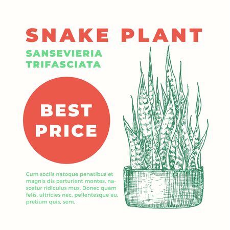 Snake Plant Abstract Vector Sign or Label Template. Hand Drawn Potted Grass Leaf Sillhouette with Modern Typography Home Gardening Card. Houseplant Advertising Emblem or Package Label. Isolated.のイラスト素材