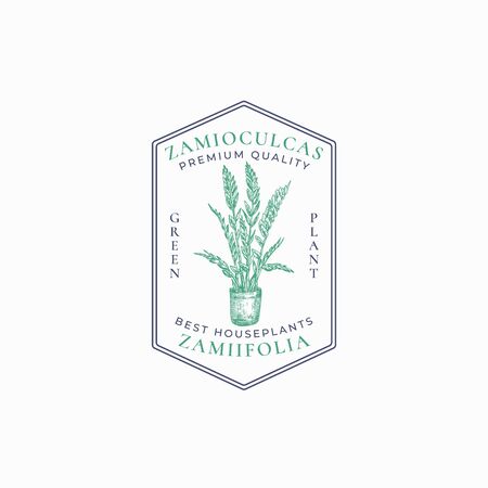 Zz Plant Badge   Template. Hand Drawn Potted Zamioculcas with Leaves Sketch with Retro Typography and Borders. Vintage Premium Home Gardening Emblem in a Frame.のイラスト素材