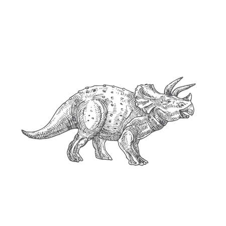 Prehistoric Dinosaur Doodle Vector Illustration. Hand Drawn Triceratops Reptile Engraving Style Drawing.のイラスト素材