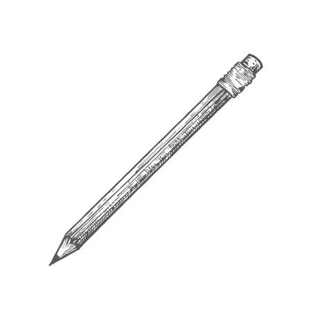 Pencil Hand Drawn Doodle Vector Illustration. Abstract Stationary Sketch. School or Education Themed Engraving Style Drawing.のイラスト素材