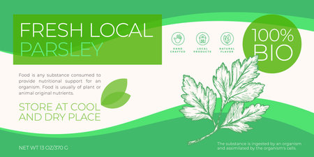 Fresh Local Herbs Label Template. Abstract Vector Packaging Horizontal Design Layout. Modern Typography Banner with Hand Drawn Parsley Branch Sketch Silhouette Background. Isolatedのイラスト素材
