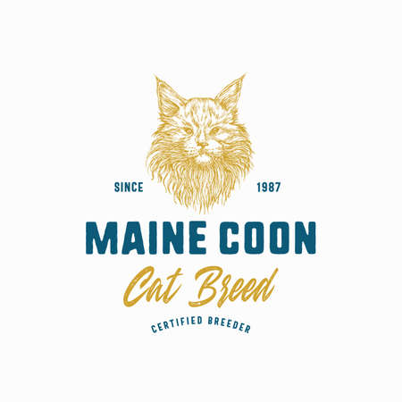 Cat Breeder Badge or Logo Template. Hand Drawn Maine Coon Breed Face Sketch with Retro Typography. Vintage Premium Emblem. Isolatedのイラスト素材