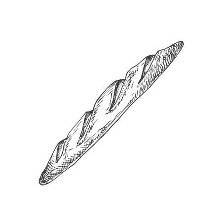 Vector French Bakery Sketch. Hand Drawn Illustration of a Loaf of White Wheat Baguette Bread. Isolatedのイラスト素材