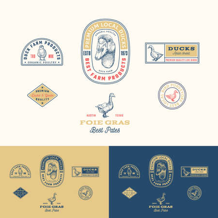 Best Local Duck Poultry Farm Retro Framed Badges or Logo Templates Collection. Hand Drawn Goose Face and Birds Sketches with Retro Typography. Vintage Sketch Emblems Set. Isolatedのイラスト素材