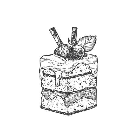 Square Cake with Berries Sweets Hand Drawn Doodle Vector Illustration. Confectionary Sketch Style Drawing. Isolatedのイラスト素材