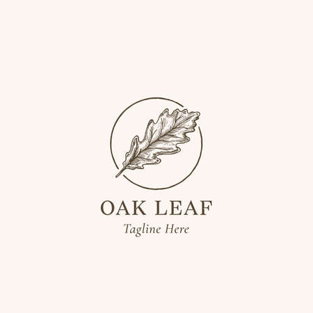 Oak Leaf Abstract Vector Sign, Symbol or Logo Template. Hand Drawn Autumn Oak Leaf Sketch Illustration in a Circle Frame with Retro Typography. Isolatedのイラスト素材