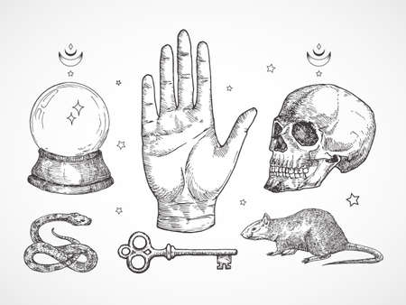 Mystical Magic Engraving Illustrations Set. Hand Drawn tattoo style sketches of crystall ball, snake, scull, key and stars Palmistry and alchemy symbols collectionのイラスト素材