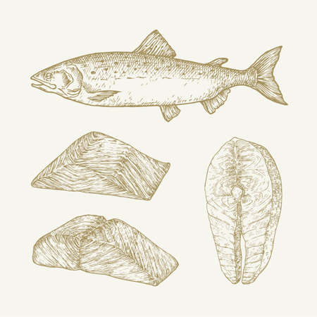 Atlantic Salmon Hand Drawn Doodle Vector Illustrations Set. Abstract Fish Fillets and Steak Sketches. Engraving Style Drawings Isolatedのイラスト素材