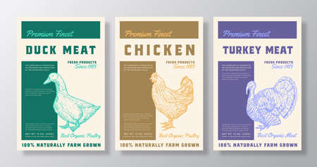 Premium Finest Poultry Meat Vector Packaging Product Label Design Collection Retro Typography and Hand Drawn Duck, Chicken, Turkey Sketch Silhouettes Background Layouts Setのイラスト素材