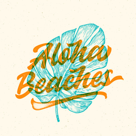 Aloha beaches lettering. Havaiian summer tropical sign, label, vintage card template with shabby texture. Hand drawn monstera leaf sketch style decorative illustration Isolatedのイラスト素材