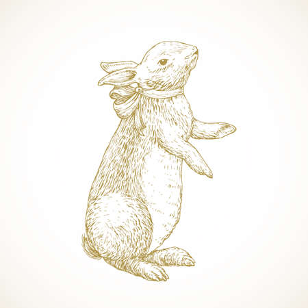 Hand Drawn Cute Easter Bunny Vector Illustration. Little Rabbit with Ribbon Abstract Sketch. Spring Holiday Engraving Style Drawing Isolatedのイラスト素材