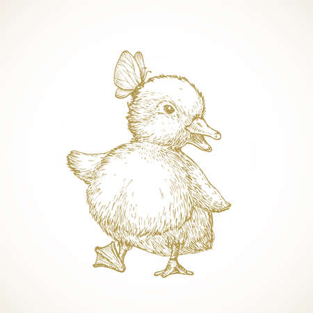 Hand Drawn Cute Easter Duckling Vector Illustration. Little Duck dancing with Butterfly Abstract Sketch. Spring Holiday Engraving Style Drawing Isolatedのイラスト素材