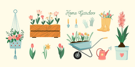Home gardening hobby illustrations set. Vector plants, flowers, and garden tools spring seasonal flat style collection Isolatedのイラスト素材