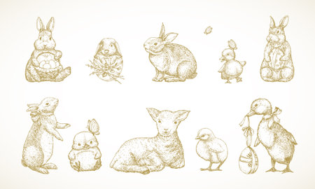 Hand Drawn Cute Easter AnimalsVector Illustrations Set. Little Rabbits, Ducks Chicken and Lamb with Ribbons and Easter Eggs Sketches Collection. Spring Holiday Engraving Style Drawings Isolatedのイラスト素材