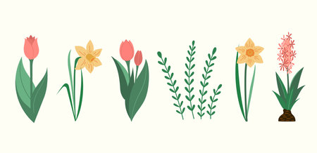 Blooming Tulips and Narcissus flowers spring vector illustrations collection. Green leaves and flowers blossom seasonal flat style drawings set Isolatedのイラスト素材