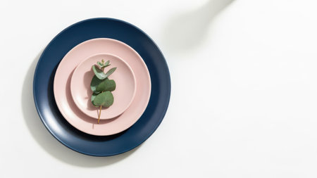 Plate with eucalyptus branch on a white backgroundの素材