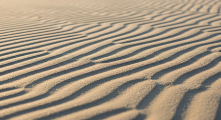 Close up of sand ripples on the beach at sunset. Selective focus.の素材