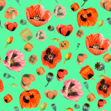 Watercolor pattern of poppy flower. Hand painted gardening background, floral background. Template for packaging and stickers. Elements for design of invitations, fabrics, textile, printing.の写真素材