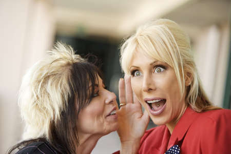 Two creative businesswomen share a secretの写真素材