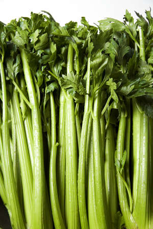 Closeup of green celery on a white backgroundの写真素材