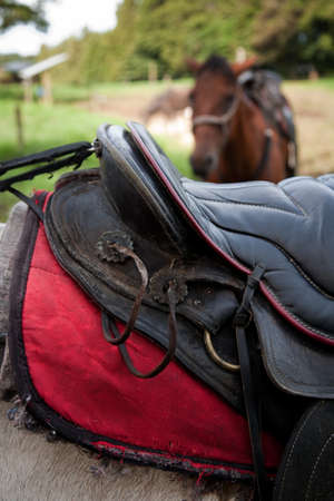 Detail of saddle on horse maintained for tourist riders in Costa Ricaの写真素材