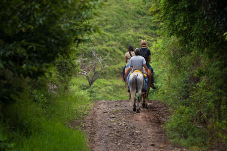 Tourists on horseback in Costa Rican cloud forestの写真素材