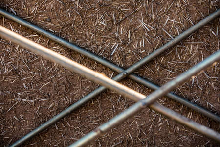 Wall Detail From Cob Construction Projectの写真素材