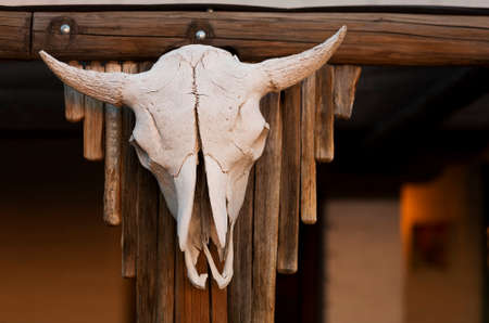 Aged cow skull hanging on wooden postの写真素材