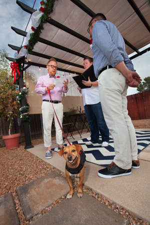 Dog on leash in marriage of gay men outdoorsの写真素材