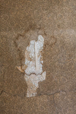 Ripped 19th century wallpaper pattern and texture with water damageの写真素材