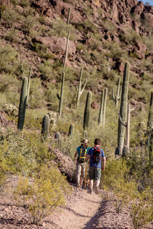 Rear view of hiking couple in the American Southwest desert regionの写真素材