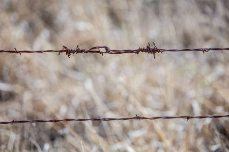 Twisted barbed wire on a farm fenceの写真素材
