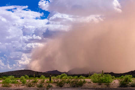 Leading edge of Haboob dust storm in the Arizona desertの素材 [FY310123711001]