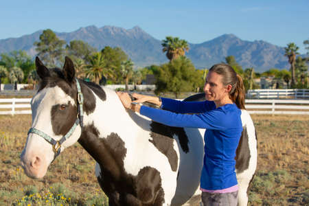 Woman performs equine myofascial release technique on the crestの写真素材