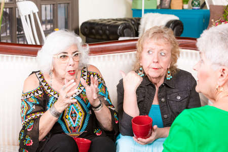 Two senior women reacting to unwanted gossip or story from a friendの写真素材