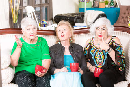 Senior women listening to a talkative friendの写真素材