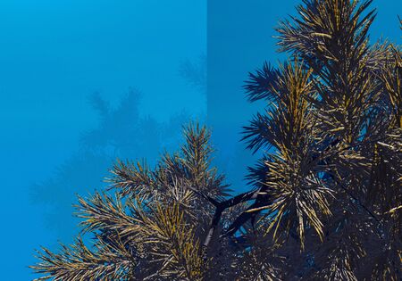 3d image of abstract texture postcard with coniferous twigs for greetingの写真素材
