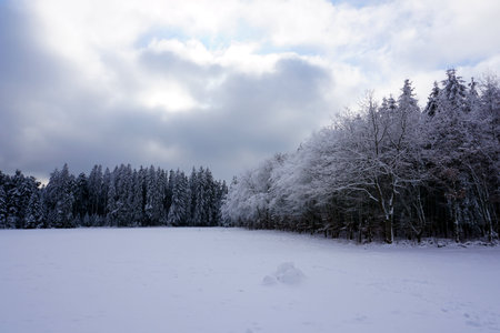 winter landscape and trees covered with snowの写真素材