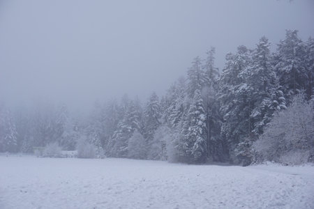 winter landscape and trees covered with snowの写真素材